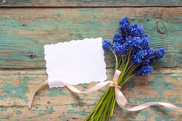 Blank paper card with bouquet of blue muscari flowers on old painted  background. Place for text. Top view.