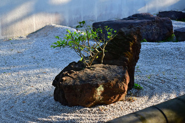 Rock garden, Kyoto Japan
石庭 日本庭園　京都