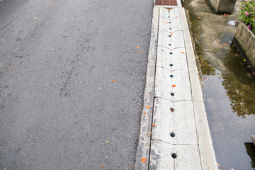 Fototapeta premium garden walkway