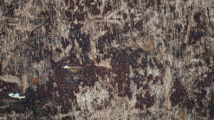 Abstract Old wooden texture background.