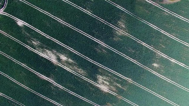 Aerial of Countryside Field In Spring
