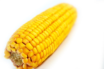 Corns on White Isolated Background maize