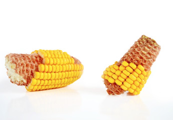Corns on White Isolated Background maize