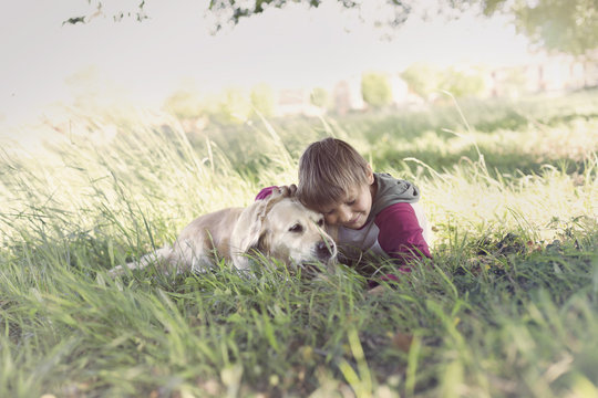 moment of love between a boy and his dog