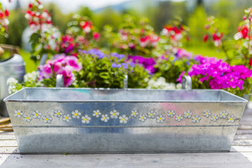 Fototapeta na wymiar Balcony box for flowers seedlings.