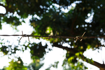 barbed wire fence with sharp spikes