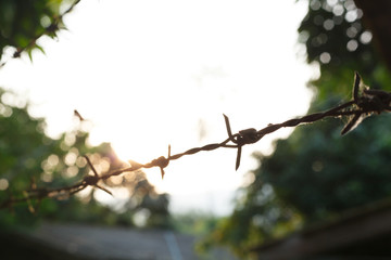 barbed wire fence with sharp spikes