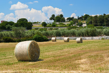 Haystack. Locorotondo. Puglia. Italy. 