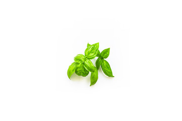 Fresh branches with leaves of organic basil seen from above isolated on a white background