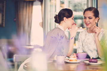 Two elegant young ladies talking secrets in a cafe
