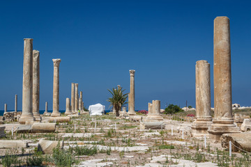 Fototapeta premium Ruins of the Roman city in Tyre, Lebanon