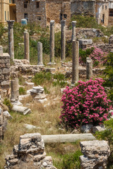 Fototapeta premium Ruins of the Roman city in Tyre, Lebanon