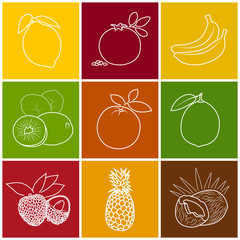 Linear Tropical Citrus Fruit Icons Lichee, Kiwifruit, Coconut and Lime, Pomegranate with Pineapple, Banana, Lemon and Orange on Colored Background, Thin Line Style Design, Vector Illustration