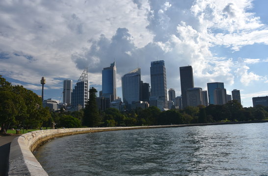 View of Sydney's skyline and Sydney Harbour from Royal Botanic Garden.