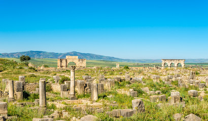 View at the ruins of ancient city Volubilis - Morocco © milosk50