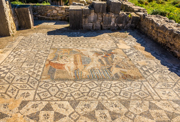 View at the mosaic in Aphrodite House in ruins of ancient city Volubilis - Morocco