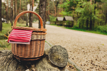 picnic basket in forest 