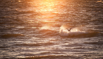 Nature. Sea and sunset. Sea waves.