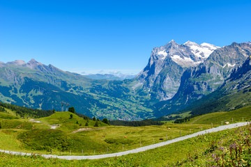 Fototapeta na wymiar Beautiful mountain scenery at Grindelwald and Jungfrau - Switzerland