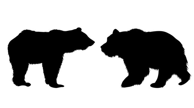 Vector silhouette of bear on white background.