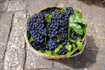 Black grapes in a basket for sale on the street