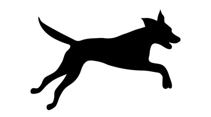 Vector silhouette of dog on white background.