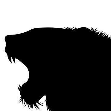 Vector silhouette of tiger on white background.