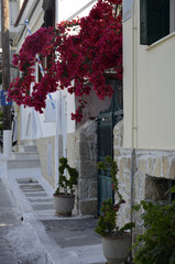 Fototapeta na wymiar Rues de Pythagorion (Samos)