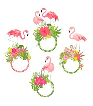 Set of decorative frames with tropical flowers and pink flamingo