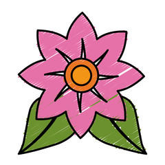 beautiful  flower icon over white background. colorful design. vector illustration