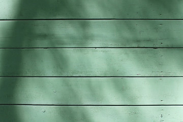 Old wood plank green texture background.