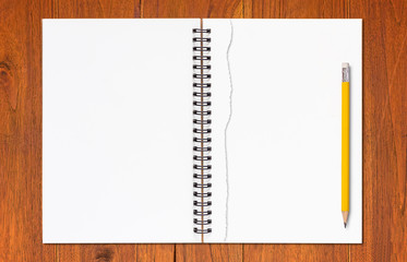 Torn Paper and Yellow Pencil