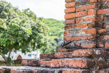 Old Castle of Thailand