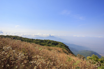 View of top of mountain and clear blue sky at Kio Mae Pan, Doi Inthanon National Park, Chiang Mai, Thailand