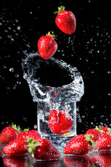 Fototapete bei efototapeten.de bestellen   