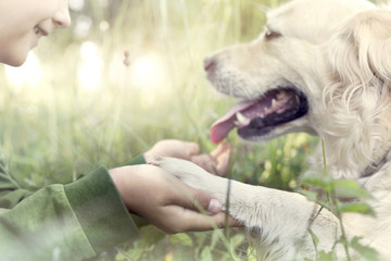 Dog's paw and boy's hand gesture of friendship