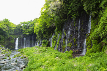 Shiraito  falls