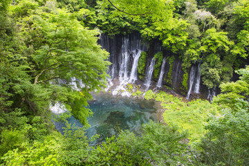 Shiraito  falls