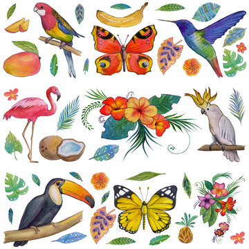 Tropical garden Birds, butterflies, parrots, flowers, fruits, palms Toucan Flamingo Сockatoo Hummingbird Hand drawn watercolor images, icons Tropical summer vacation