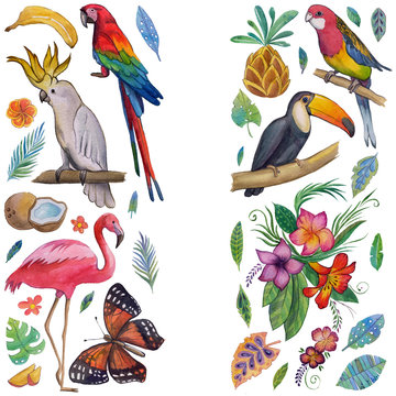 Tropical garden Birds, butterflies, parrots, flowers, fruits, palms Toucan Flamingo Сockatoo Hummingbird Hand drawn watercolor images, icons Tropical summer vacation