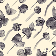Seamless floral pattern with buttercup buds and eucalyptus. Spring flowers and plants. Botanical natural background drawn by hand with pencil. Tinted black and white