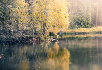 Nice morning light at autumn in little pond Finland