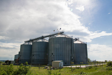 Silos on the field. Grain Storage Bins