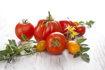 Tomatoes on wooden background