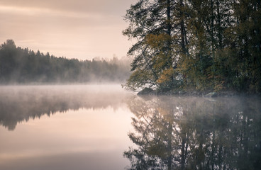 Fototapeta premium Nice morning light at autumn in little pond Finland