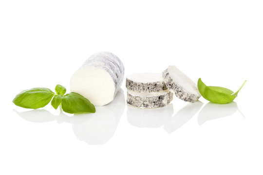 Goat cheese on white background