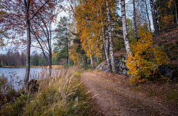 Idyllic landscape with path at autumn morning
