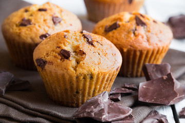 Homemade muffins with chocolate chips