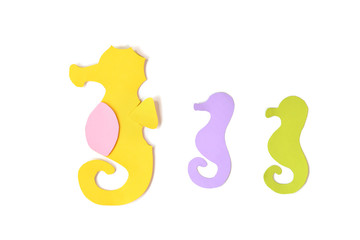 Seahorse paper cut on white background - isolated