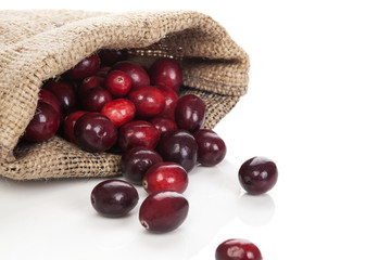 Ripe fresh cranberries.